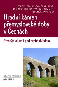 Hradní kámen přemyslovské doby v Čechách