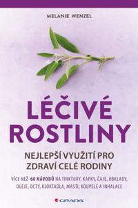 Léčivé rostliny - nejlepší využití pro zdraví celé rodiny