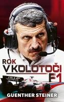 Rok v kolotoči F1 