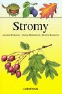 ​Stromy