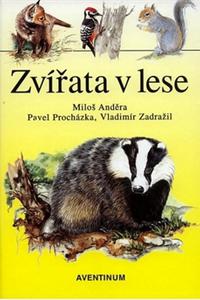 Zvířata v lese