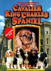 Cavalier King Charles Spaniel - Chováme Psy