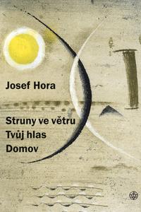 Struny ve větru, Tvůj hlas, Domov