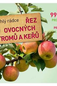 Řez ovocných stromů a keřů - Rychlý rádce