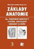 Základy anatomie. 4b. 