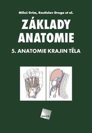 Základy anatomie 5