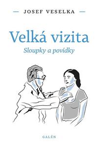 Velká vizita - Sloupky a povídky