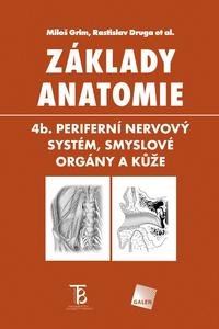 Základy anatomie 4a - Centrální nervový systém