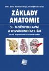 Základy anatomie 3b