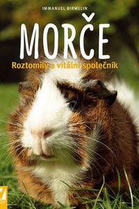 Morče 