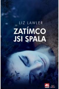 Zatímco jsi spala 