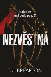 Nezvěstná