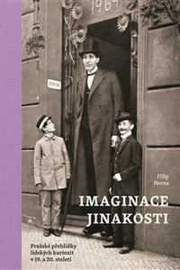 Imaginace jinakosti