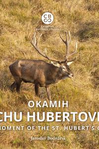 Okamih cechu Hubertovho