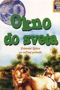 Okno do sveta