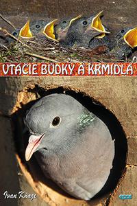 Vtáčie búdky a kŕmidlá