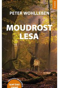 Moudrost lesa