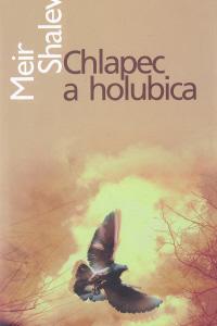 Chlapec a holubica