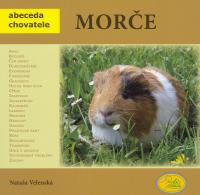 Morče