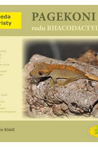 Pagekoni rodu Rhacodactylus