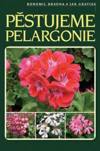 Pěstujeme pelargonie 