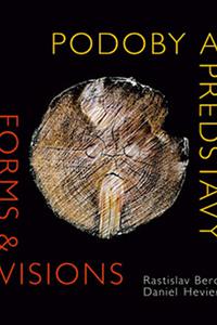 Podoby a predstavy Forms & Visions