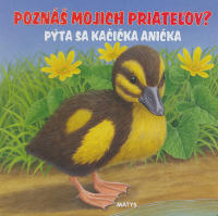 Pýta sa kačička Anička