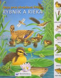 Rybník a rieka 