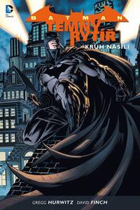 Batman - Temný rytíř 2 - Kruh násilí