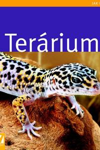 Terárium