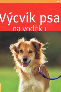 Výcvik psa na vodítku